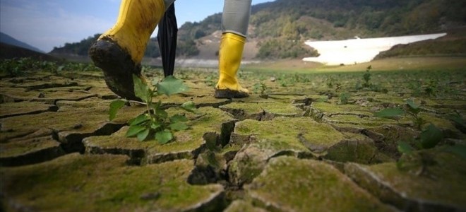 Dünya Ekonomi Forumu: İklim krizi en büyük küresel risk