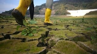 Dünya Ekonomi Forumu: İklim krizi en büyük küresel risk