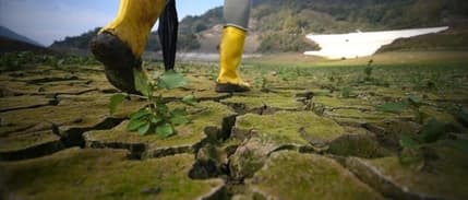 Dünya Ekonomi Forumu: İklim krizi en büyük küresel risk