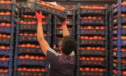 Dünyada gerileyen gıda fiyatları Türkiye’de artışını sürdürdü