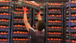 Dünyada gerileyen gıda fiyatları Türkiye’de artışını sürdürdü