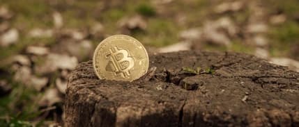 ECB: Bitcoin ilgisizliğe giden bir yolda ilerliyor