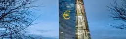 ECB'nin döviz rezervleri 350 milyar euroya yaklaştı