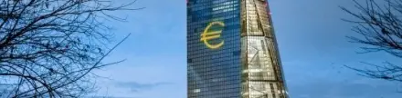 ECB'nin döviz rezervleri 350 milyar euroya yaklaştı