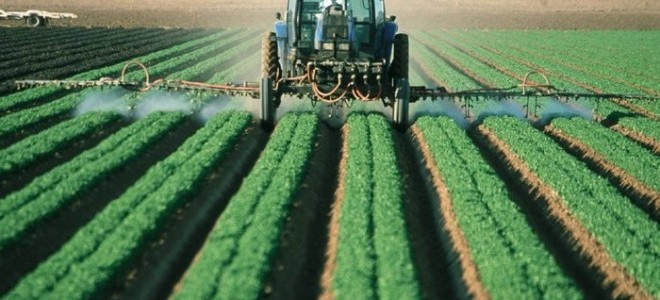 Edirne'nin Tarımı, Zirvede Masaya Yatırıldı