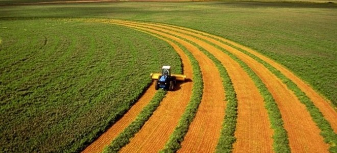 Ege Tarımı Tzob’un Ege Bölge Toplantısında Konuşulacak