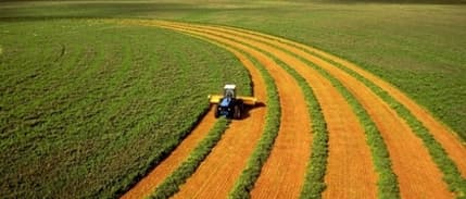 Ege Tarımı Tzob’un Ege Bölge Toplantısında Konuşulacak