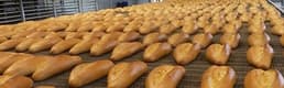 Ekmek Üreticileri Başkanı Kavuncu: Türkiye'de Günde 12 Milyon Ekmek İsrafı Var