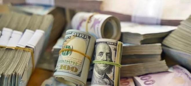 Ekonomistler hesapladı: Merkez Bankası rezervleri zirve tazeledi