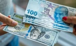 Ekonomistlerin yıl sonuna ilişkin dolar kuru beklentisi belli oldu