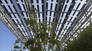 Elektrik üretiminde güneşin payı yüzde 16,3'e yükseldi