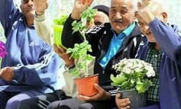 Emekli sayısının çalışanları aştığı iller belli oldu! SGK verileri ne söylüyor?