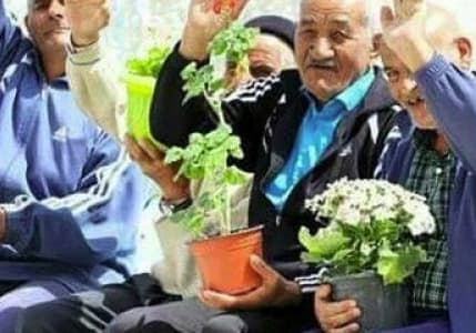 Emekli sayısının çalışanları aştığı iller belli oldu! SGK verileri ne söylüyor?