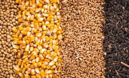 Emtia piyasalarında geçen hafta dalgalı bir seyir izlendi