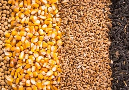 Emtia piyasası nisan ayına iyi başlamadı