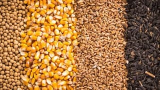 Emtia piyasasına geçen hafta zirveler hakimdi