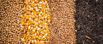 Emtia piyasasına geçen hafta zirveler hakimdi