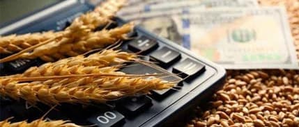 Emtia piyasasında Çin ve jeopolitik risk primi