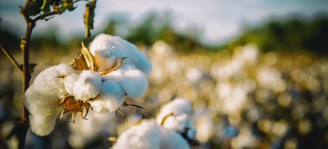 Emtia piyasasında dalgalı bir hafta geride kaldı