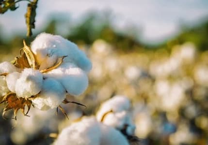Emtia piyasasında dalgalı bir hafta geride kaldı