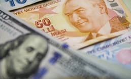 Enflasyon ve dolar/TL beklenti anketi sonuçlandı