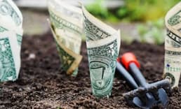 Erken yaşta finansal özgürlük için 5 öneri