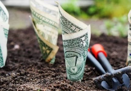 Erken yaşta finansal özgürlük için 5 öneri