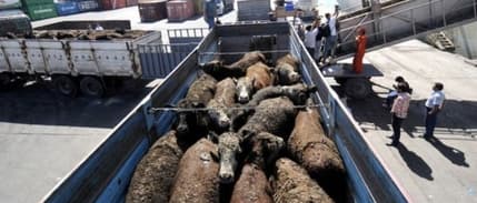 Et ve Süt Kurumu’ndan Ramazan öncesi fiyat artışlarına karşı hamle