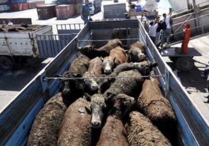 Et ve Süt Kurumu’ndan Ramazan öncesi fiyat artışlarına karşı hamle
