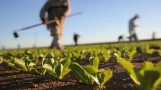 Eylülde üreticilere 3,15 milyar lira hasar tazminatı ödendi