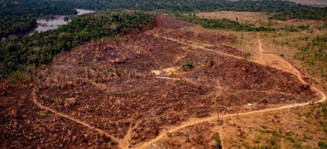 FAO'dan ormansızlaşma uyarısı: Ormanlar hala baskı altında