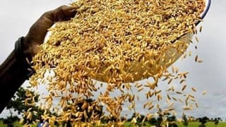 Fao Gıda Fiyat Endeksi Haziran’da Geriledi