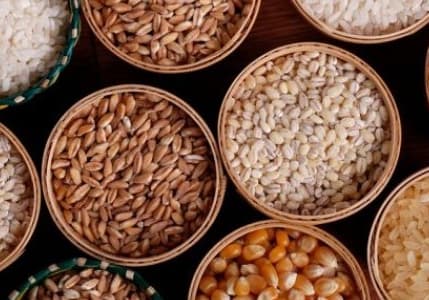 FAO Gıda Fiyat Endeksi Kasım’da Düştü 