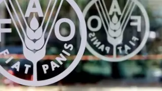 FAO: Hürmüz belirsizliği gıda şokunun başlangıcı olacak