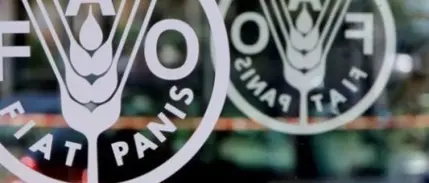 FAO: Hürmüz belirsizliği gıda şokunun başlangıcı olacak