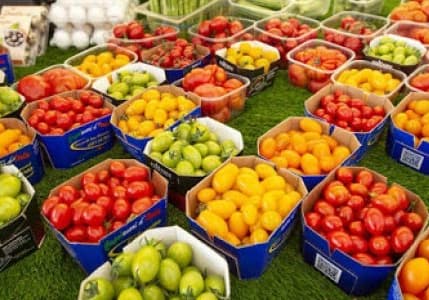 FAO: Küresel gıda fiyatları 12 ay sonra ilk kez düştü