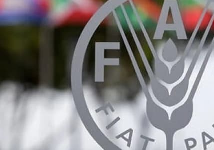 FAO: Küresel gıda fiyatları aralıkta geriledi