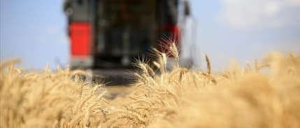 FAO: Küresel gıda fiyatları düşüşünü yedinci aya taşıdı