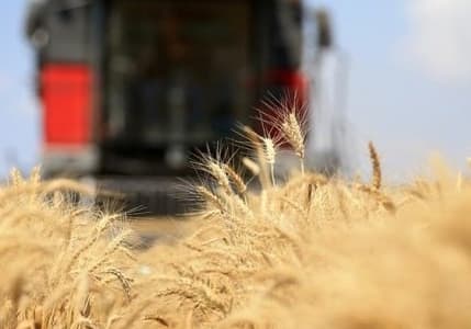 FAO: Küresel gıda fiyatları düşüşünü yedinci aya taşıdı
