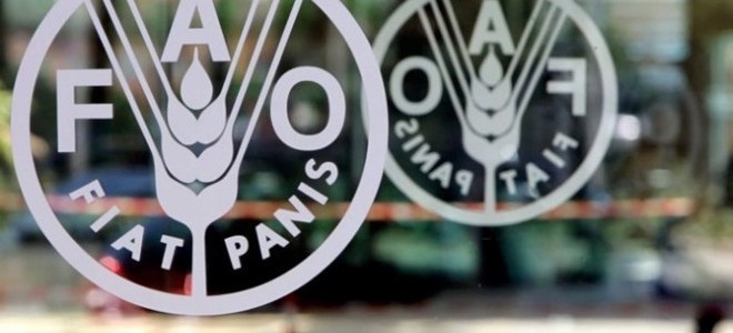 FAO: Küresel gıda fiyatları eylülde önemli bir değişiklik göstermedi