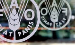 FAO: Küresel gıda fiyatları kasımda değişmedi