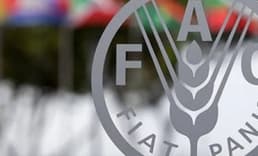 FAO: Küresel gıda fiyatları son 19 ayın zirvesinde