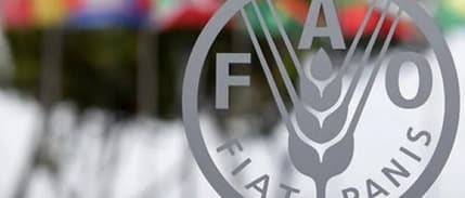 FAO: Küresel gıda fiyatları son 19 ayın zirvesinde