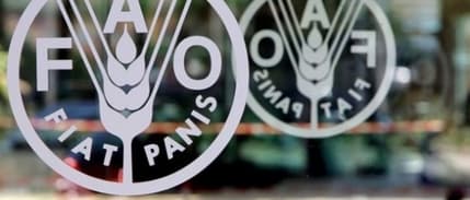 FAO: Küresel gıda fiyatları yıla düşüşle başladı