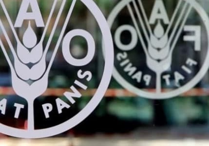 FAO: Küresel gıda fiyatları yıla düşüşle başladı