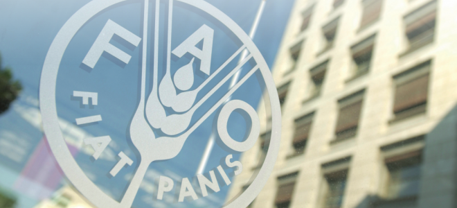 FAO Türkiye’ye Yeni Temsilci Atadı