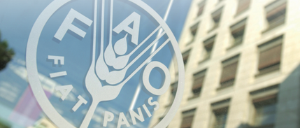 FAO Türkiye’ye Yeni Temsilci Atadı