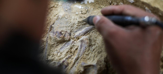 Fas'ta 773 bin yıl öncesine ait insan fosilleri bulundu