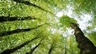 Ferrero, 8. Sürdürülebilirlik Raporunu Açıkladı