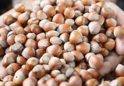Fındık alım fiyatı belli oldu